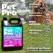 Dirtbusters Pet Pro Artificial Grass Cleaner For Dogs & Cats 3-in-1 Clean Remove Stains Urine & Deodorise With Reactivating Odour Eliminator For All Types Of Astro Turf (5L) - Buy Online on SooperMarket.com