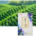 Socobeta Grape Oolong Tea 24pcs Cold Brew Fruit Tea Bags for Casual Drinks in The Morning and Afternoon Free Time kitchen Home Appliances - Buy Online on SooperMarket.com