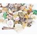 70+ pcs Famoby Sea Shells & Starfish for DIY Crafts & Beach Theme Decor - Buy Online on SooperMarket.com