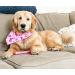 Nylabone Power Chew Breast Cancer Awareness Pink Dog Toy - Chicken Souper Chew - Buy Online on SooperMarket.com