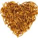 Lyra PET |3 x 1 kg of mealworms |Ideal for decorative and pond fish |Gently dried |Prote -rich fish feed |Rich in vitamins & minerals |Nutrient -rich energy source for KOI