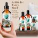 Shop Bella Terra Organic Fractionated Coconut Oil 16 oz - Nutrient-Rich Antioxidants & MCTs for Skin Care & Wellness - International Shipping Available - Buy Online on SooperMarket.com