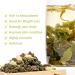 Oriarm Taiwan Jasmine Oolong Green Tea - 100g Loose Leaf - Alishan High Mountain Wulong Tea - Natural Jasmine Flavor - Buy Online on SooperMarket.com