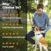 Simplethings Waterproof AirTag Dog Collar | Anti-Loss Silicone Cover for Cats & Dogs | Compatible with Apple AirTag | Pink & Purple S-12mm - Buy Online on SooperMarket.com