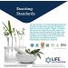 Life Extension FLORASSIST Winter Immune Support - 30 Stick Packs for Optimal Health - Buy Online on SooperMarket.com