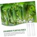 Milisten Horticulture 3pcs Vegetable Shaping Mold Strawberry Garden Tools Cucumber Molds As Shown 20x6cm - Buy Online on SooperMarket.com