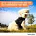 Walkin Halo Harness for Blind Dogs - Comfortable Harness for Pets Over 30lbs - Blind Dog Accessories - XX-Small - Buy Online on SooperMarket.com