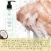 Vitabath Heavenly Coconut Creme Hand Soap - Nourishing Aloe & Antioxidants | Cruelty-Free Gluten-Free Paraben-Free - 16 oz - Buy Online on SooperMarket.com