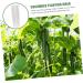 Toddmomy Garden Fruit Mould 4 Pcs Vegetable Shaping Mold Vegetables Vegetable Shaper Mold Cucumber Growth Molds Accessories - Buy Online on SooperMarket.com