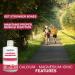 Liquid Calcium Magnesium Formula with Vitamin D Vitamin E and Zinc - Maintain Healthy and Stronger Bones - 500ml - Vanilla Spearmint Flavor - Non-GMO Gluten Free Sugar Free - Made in Canada - Buy Online on SooperMarket.com