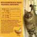 Purina Beyond Natural Limited Ingredient Cat Food - White Meat Chicken & Oat Meal 6 lb Bag - Buy Online on SooperMarket.com