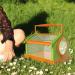 Portable Butterfly Habitat Cage Critter Caterpillars Outdoor Green Orange - Buy Online on SooperMarket.com