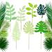 14 PCS Tropical Leaves Cake Topper Personalised Artificial Palm Leaves Glittery Tropical Jungle Cake Topper Tropical Party Jungle Hawii Summer Theme Birthday Party Supplies Cake Decorations - Buy Online on SooperMarket.com