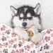 Pedgot Fluffy Dog Blankets with Paw Print - Set of 4 | Soft & Warm Pet Throw Blankets for Small Dogs & Cats | Brown/White/Pink | 24 x 16 & 30 x 20 Inches - Buy Online on SooperMarket.com