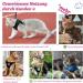 Supet Cat Dishes & Breaking-Safe Leash - Soft Vest for Kittens & Small Dogs (Chihuahua) - Pink Size L (Chest 38-43 cm) - Buy Online on SooperMarket.com