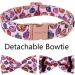 Shop Aring Pet Halloween Dog Collar - Cute Pink Pumpkin with Bow for All Dog Sizes (Pack of 1) - Buy Online on SooperMarket.com