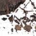 Pu-Erh Tea Pu-er Tea Chinese Yunnan Pu'erh Cake Cooked Tea Cake Raw Puerh Raw Puerh Tea for Family Friends Gift 357g - Buy Online on SooperMarket.com