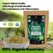Huggiberries Organic Rosemary Leaves-Spice 3.5 OZ (100g) - Pure High Aromatic Flavor for Meat, Vegetables & Soup | USDA Approved, GMO & Gluten Free, Raw Vegan - Immunity Boosting & Wellness Support - Buy Online on SooperMarket.com