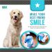 KENNELS & KATS Pet Grooming Glove | Premium De-shedding Brush for Dogs, Cats, Rabbits & Horses | 260 Tips for Mess-free Grooming | One Size Fits All | Blue - Buy Online on SooperMarket.com