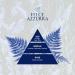 Buy Felce Azzurra Classico Body Powder - 12 Pack (100g) - Natural Dye-Free Dermatologically Tested - International Shipping - Buy Online on SooperMarket.com