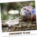 HAPINARY Pet Water Feeder Ant Waterer for Garden Ant Watering Station Ant Nest Supplies Transparent Plastic - Buy Online on SooperMarket.com