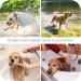 Dewel 63.5cm Adjustable Waterproof Tick Collar for Dogs - Ultimate Flea & Tick Prevention Neck Band in Gray - Buy Online on SooperMarket.com