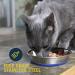 Our Pets DuraPet Stainless Steel Non-Slip Cat Food Bowls - 1-1.75 Cups Capacity - Easy to Clean Cat Dish - Buy Online on SooperMarket.com