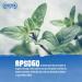 Apsogo Organic Dried Oregano from Greece - Premium Quality 200g - Buy Online on SooperMarket.com