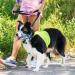 Weesiber Medium Blue Soft Dog Collar - Adjustable Padded Halter with Reflective Strips for Safe Training & Walking - No Pull Design - Buy Online on SooperMarket.com