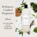 Laundress Whites Detergent 32 oz - Concentrated Laundry Liquid Whiten & Brighten Clothes Tough on Stains Classic Scent | International Shipping - Buy Online on SooperMarket.com