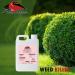 Shankh All Purpose Distilled White Spirit Vinegar 5L for Cleaning Pickling Marinating & Cooking (Pack of 2) - Produced in The UK - Buy Online on SooperMarket.com