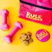 Rule Breaker Snacks Vegan Gluten Free Birthday Cake Blondie Cookie Bites 4 oz (Pack of 2) | Plant-Based, Dairy-Free, Nut-Free, Soy-Free, Allergen-Free, Kosher School Snacks for Kids and Adults - Buy Online on SooperMarket.com