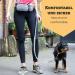 Vitazoo Jogging Line for Dogs | Elastic Running Leash with Adjustable Belt & Reflective Sections | Best Dog Jogging Leash with Belt Bag - Buy Online on SooperMarket.com