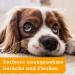 Buy Awiwa Odor Neutralizer & Cat Urine Stain Remover (1L) - Effective Pet Odor Control for Dogs & Cats | International Shipping Available - Buy Online on SooperMarket.com