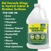 STAR BRITE Home Mildew Stain Remover Gel - Powerful 1 Gallon Solution for Tough Mold & Mildew Stains | Fast Shipping Worldwide - Buy Online on SooperMarket.com