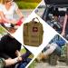Crisis First Aid Bag - Empty MOLLE Tactical EDC IFAK Pouch for Outdoor Camping & Travel | Essential First Aid Belt Bag & Pharmacy Set - Buy Online on SooperMarket.com