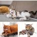 Jeffdad 2-Piece Interactive Cat Wand Toy Interactive Cat Wand Leopard Ribbon Toy fits most cats and kittens - Buy Online on SooperMarket.com