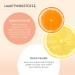 JEAN D'ARCEL D MAQUILLANTE exfoliating aux acides de fruits - glow fruit acid scrub for a refined face - with fruit and succinic acid - fruit acid peeling - 50 ml - Buy Online on SooperMarket.com