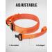 Joytale Tactical Dog Collar for Large Dogs | Durable Orange Dog Collar with Handle & QR Code Tag | Shop Now! - Buy Online on SooperMarket.com