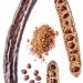 Carob Powder 250g by Virgolden - Perfect for Baking Smoothies and Prefect for Protein Energy Bars - Buy Online on SooperMarket.com