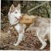 OneTigris CAMELUS Dog Backpack - Tear-Proof Camping & Hiking Pack for M/L Size Dogs in Coyote Brown - Buy Online on SooperMarket.com