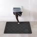 Niubya Premium Cat Litter Mat - Non-slip Waterproof Backing, Soft on Paws, Easy to Clean - Small 23x14 Black - Buy Online on SooperMarket.com