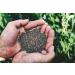 Heartland Chia  USA Grown Whole Raw Black Chia Seeds  12 oz | Sustainable  Non-GMO  Farm-direct - Buy Online on SooperMarket.com