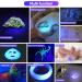 DARKDAWN UV Torch Flashlight 365nm Light USB Rechargeable Ultraviolet LED Blacklight Powerful Woods Lamp Portable Mini Detector for Pet Urine Stains Uranium Glass Money Resin Curing Fluorescent Uv 365nm Light/Blue - 1 Pack - Buy Online on SooperMarket.com