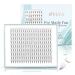 Obeyalash Pointy Base Premade Fans Eyelash Extensions Large Tray 8D Russian Volume Eyelash Extensions 0.07 D Curl 12mm Middle Tape Thin Base Pre Made Volume Lashes (8D 0.07 D 12mm) 12mm Large Tray-8D-0.07D