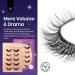 Buy Beetles Easy Lashes Zero Gravity Collection | 5 Pairs Wispy Fluffy Faux Eyelashes & Tweezers - Super Natural 3D Effect for Women - Buy Online on SooperMarket.com