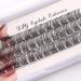 Veleasha DIY Eyelash Extension Individual D Curl Lashes 39 Clusters | Reusable Wispy False Eyelashes at Home | FD02 12-16mm - Buy Online on SooperMarket.com