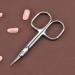 JARVISTAR Extra Fine Small Nail Scissors - Stainless Steel Cuticle Manicure Pedicure Grooming Tool for Women - Fingernail, Toenail, Eyelash, Eyebrow, Dry Skin - Curved Blade 3.66 Inch - Buy Online on SooperMarket.com
