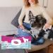 INODORINA Dog Hygiene Additional Towels - Floral Tiare Scented Perfect for International Shipping - Buy Online on SooperMarket.com