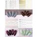 EBANKU 12 Sheets Metallic Nail Stickers - Self-Adhesive 3D Wave Design for DIY Nail Decoration - Buy Online on SooperMarket.com